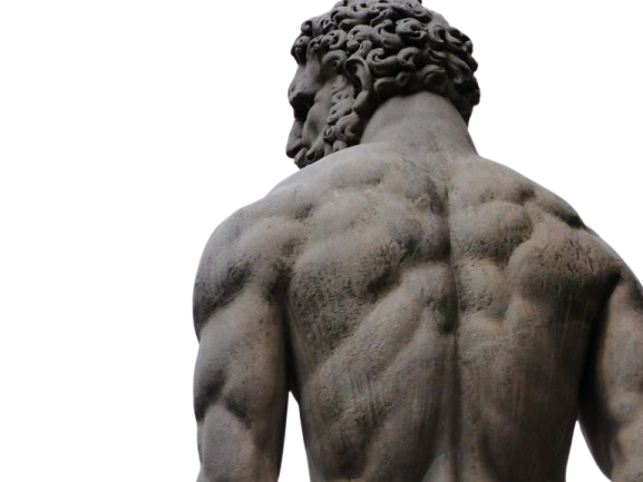 The Modern Gymnasion